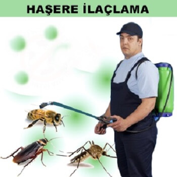 Üsküdar Böcek İlaçlama